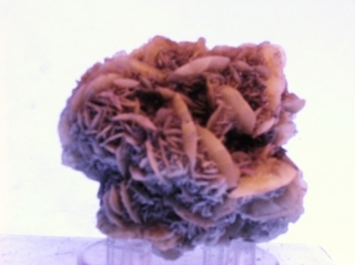 Gypsum - San Lazzaro, App. Bolognese, Italy